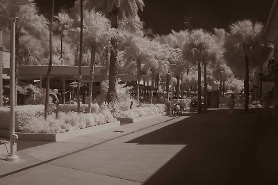 Lincoln Road